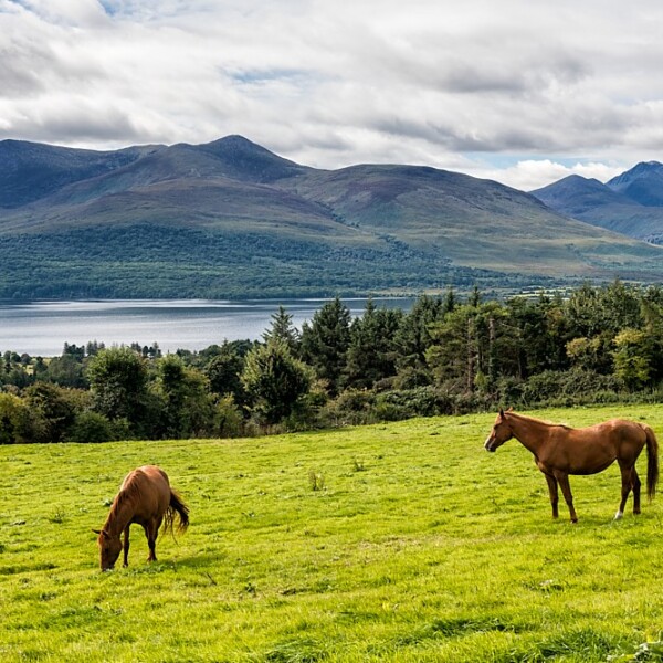 Aghadoe Viewpoint