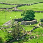 Altagore Cashel