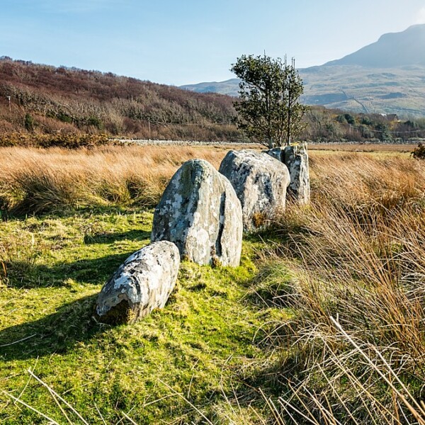 Annagh-Killadangan Stone Rows