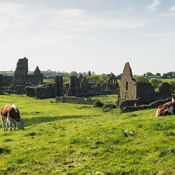 Athassel Priory