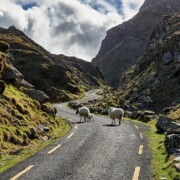 Ballaghbeama Gap