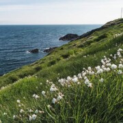 Ballycotton Cliff Walk