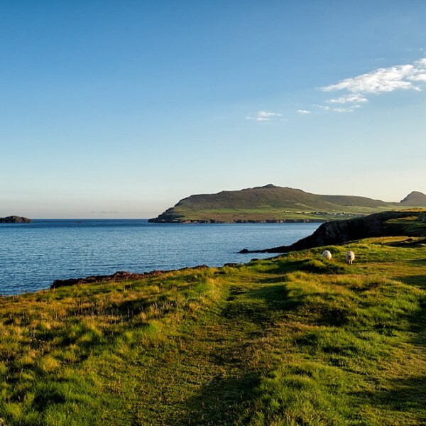 https://www.irelandhighlights.com/wp-content/uploads/ballydavid-cliff-walk-229_8421-wpv_600x600_center_center.jpg