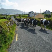 Ballydonegan