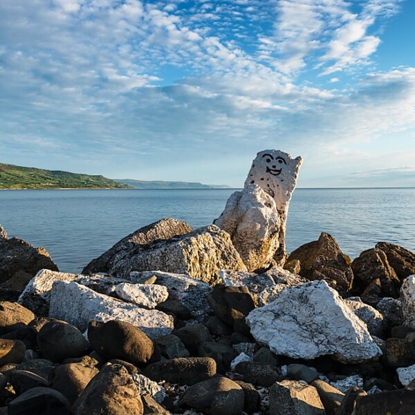 Ballygalley Polar Bear