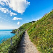 Bray Cliff Walk