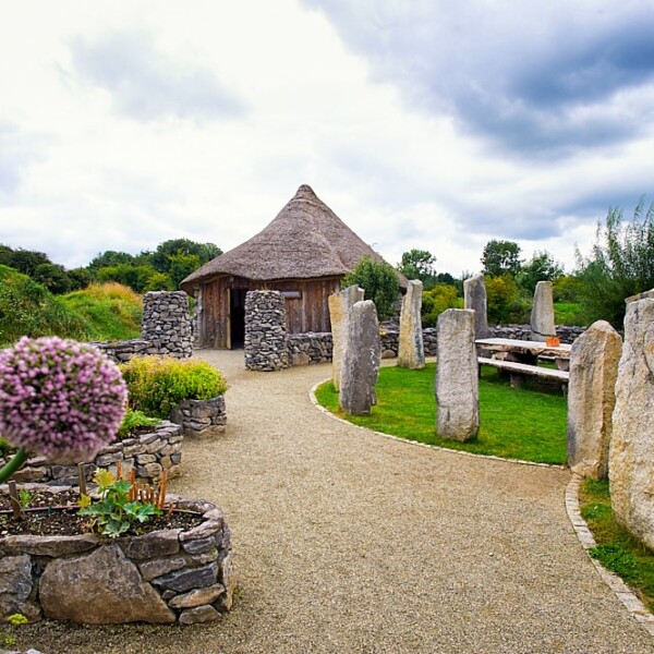 Brigit's Garden