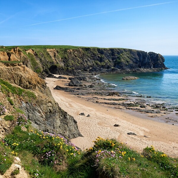 County Wexford Ireland Highlights