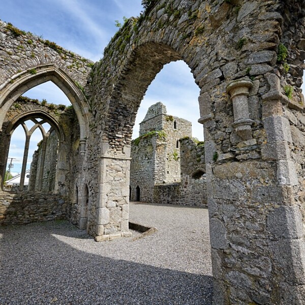 Castledermot Friary