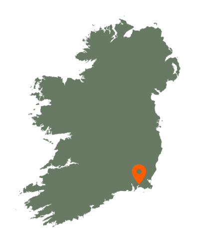 Clonmines Map