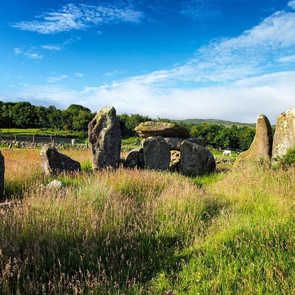 Clontygora Court Tomb