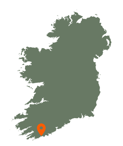 Coppinger's Court Map
