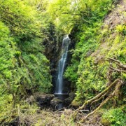 Cranny Falls