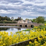 Desmond Castle