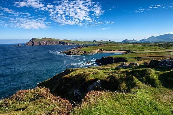 Clogher Head Tours