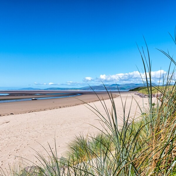 Dooks Beach