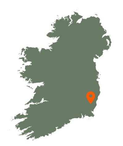 Ferns Cathedral Map