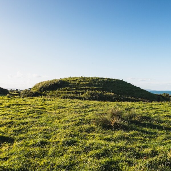 Norman Motte