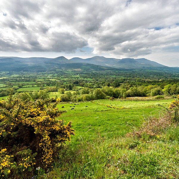 Glen of Aherlow