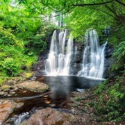 Glenariff Forest Park