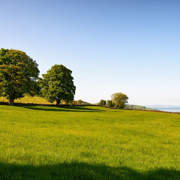 Glenarm - Glens of Antrim