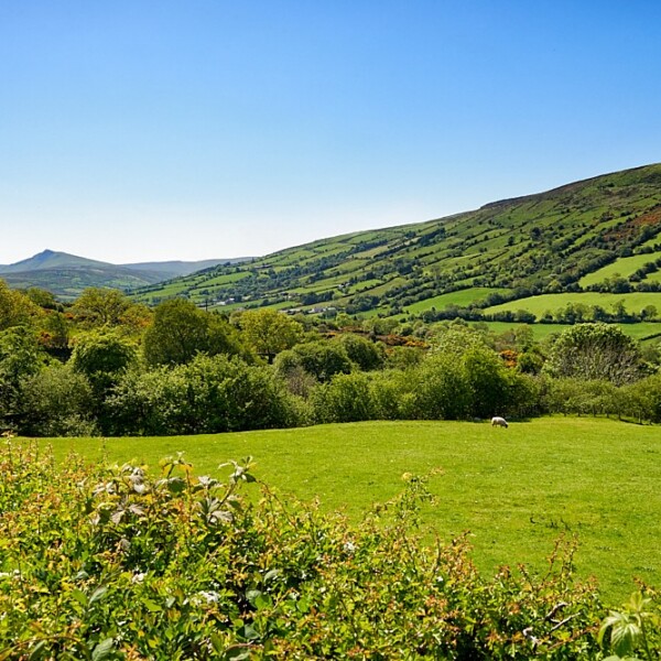 Glencorp - Glens of Antrim