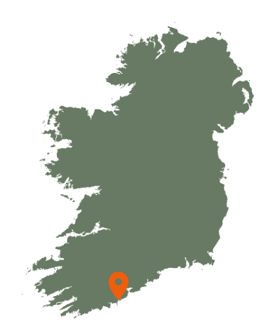 James's Fort Kinsale Map