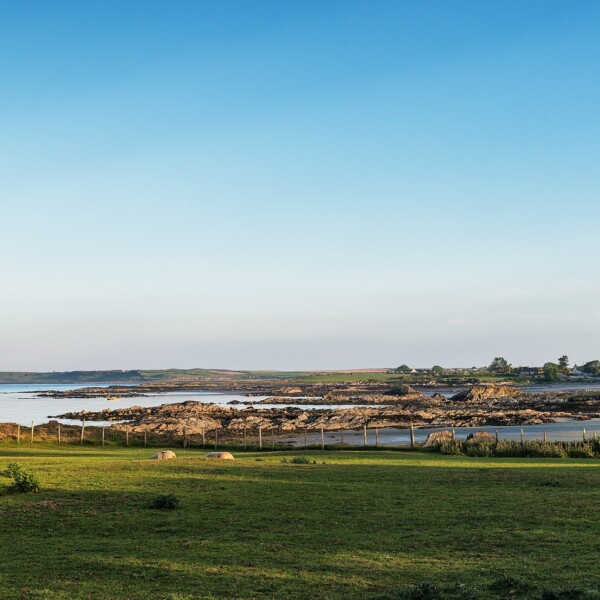 Killard National Nature Reserve