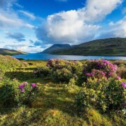 Killary Harbour