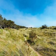 Raven Wood Nature Reserve