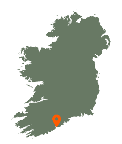 Roches Point Map