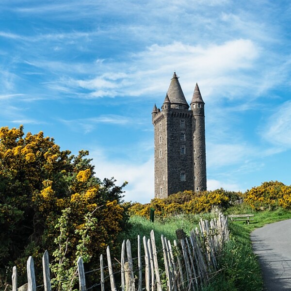 Scrabo Tower