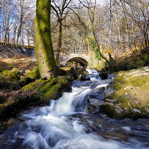 Cloghleagh Bridge and Shankill River