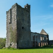 Sigginstown Tower House