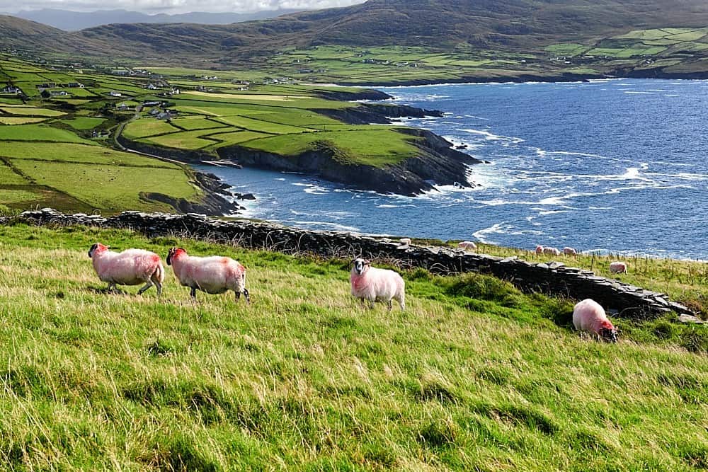 St Finian s Bay On The Skellig Ring Ireland Highlights