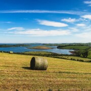 Strangford Lough