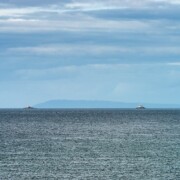 The Maidens