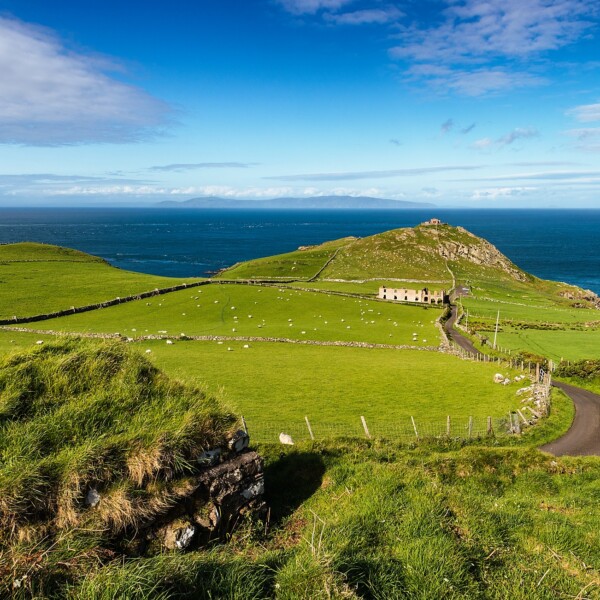 Torr Head