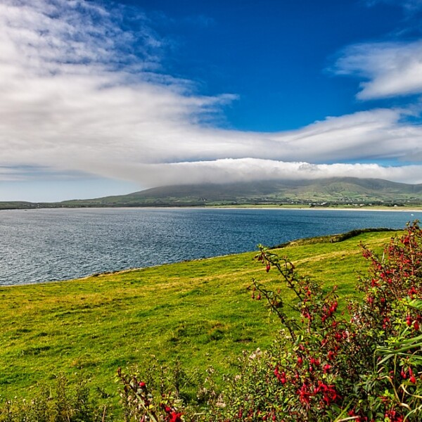 Ventry Bay
