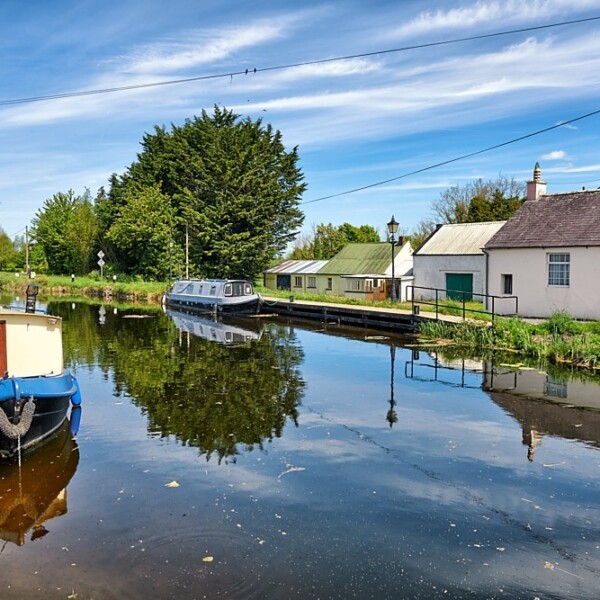 Vicarstown at the Grand Canal
