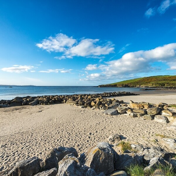 Warren Strand