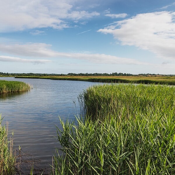 Wexford Wildfowl Reserve