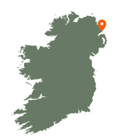 Whitehead Map
